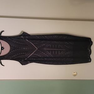 Black Dress with a Nude Colored Liner